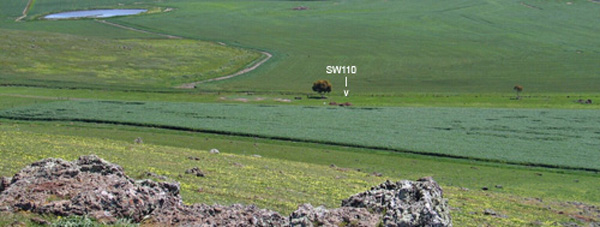 Photo: Soil Site SW110 Landscape