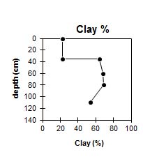 Graph:  SW42 Clay