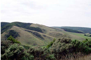 OTR414 landscape