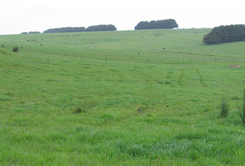 H138 landscape image