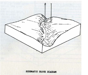 Land Capability Study - Ballan - Land Unit - Quaternary Basalt - Scarps of Duplex Soil - Qbb