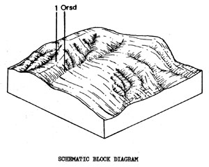 Broad Ridge Tops with Duplex Soils on Ordovician Sedimentary Rock - Orcd