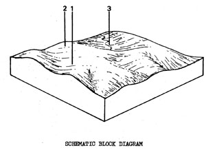 Plains with Duplex Soils on Ordovician Sedimentary Rock - Org