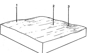 Plain with Clay Soils and Duplex Soils and Quaternary Basalt - Qbf
