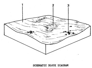Plains with Duplex Soils on Quaternary Basalt - Qbg