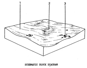Plains with Duplex Soils on Quaternary Basalt.  Drier than Qbg - Qbgd