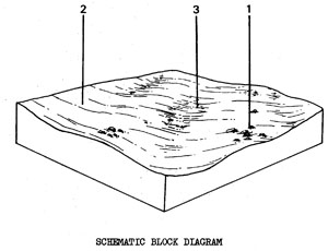 Stony Plains with Duplex Soils on Quaternary Basalt - Qbgs