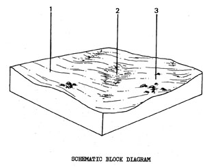 Plains with Duplex Soils with a Sandy A Horizon on Quaternary Basalt - Qbgw
