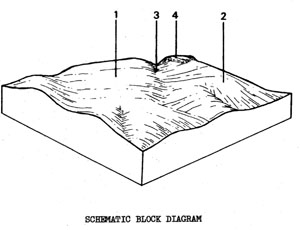 Plains with Duplex Soils on Tertiary Sediments - Tgn