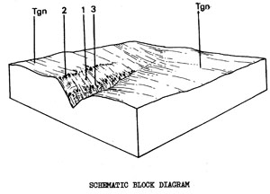 Irregular surfaces with Shallow Uniform Texture Soils on Tertiary Sedimentary Rock - Tsc