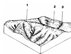 Ordovician hills (moist)