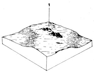 Quaternary basalt - stony rises