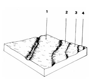 Alluvium - variable soils