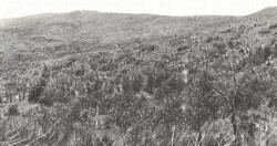 A Study of land in the catchments of the Otway Range and adjacent plains - bald hills