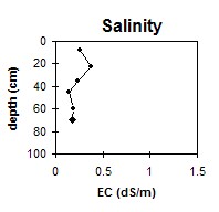 SW31 Salinity