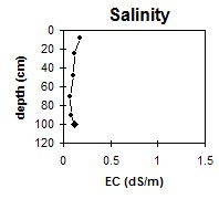 SW32 Salinity