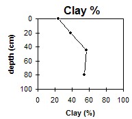 Sw33 Clay