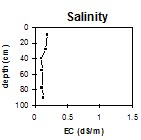 SW35 Salinity