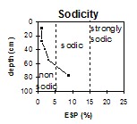 SW35 Sodicity