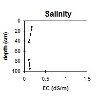 SW37 Salinity