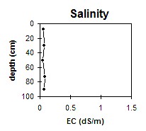 SW38 Salinity