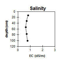 Graph: SW39 Salinity