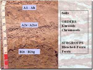 Photo: Soils, orders and subgroups