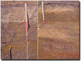 Photo: two deep soil profiles