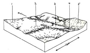 Image:  Warrel Land System Cross Section 