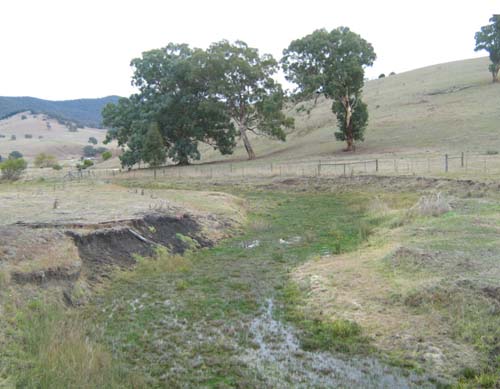 Soils and lanforms of the Bairnsdale Dargo region - a guide to the major agricultural soils of East Gippsland 2011 - Dargo land use