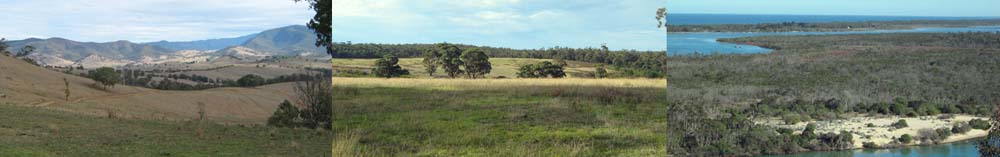 Soils and landforms of the Bairnsdale and Dargo Region - a guide to the major agricultural soils of East Gippsland 2011
