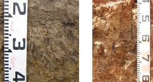 Soils and landforms of the Bairnsdale and Dargo Region - a guide to the major agricultural soils of East Gippsland 2011 _pawc image2