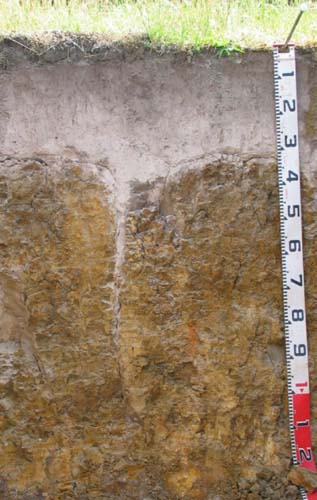 Soils and lanforms of the Bairnsdale Dargo region - a guide to the major agricultural soils of East Gippsland 2011 - GP83 - profile