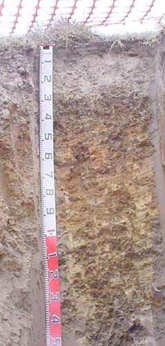 Soils and lanforms of the Bairnsdale Dargo region - a guide to the major agricultural soils of East Gippsland 2011 - Glenmaggie - EG258 profile