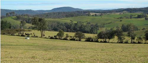 Soils and lanforms of the Bairnsdale Dargo region - a guide to the major agricultural soils of East Gippsland 2011 - Tambo landform