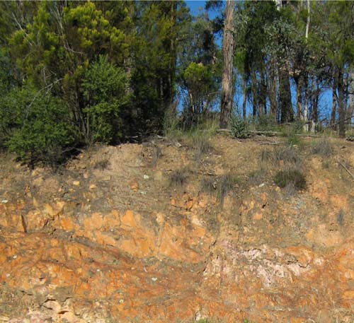 Soils and lanforms of the Bairnsdale Dargo region - a guide to the major agricultural soils of East Gippsland 2011 - Tambo land use