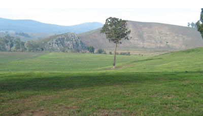 Soils and landforms of the Buchan and Suggan Buggan region - Buchan EG24 landscape