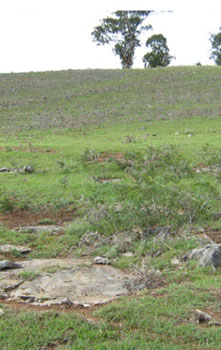 Soils and landforms of the Buchan and Suggan Buggan region - Buchan limestone