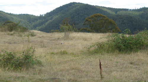 Soils and landforms of the Buchan and Suggan Buggan region - Carrabungla landform