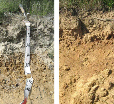 Soils and landforms of the Buchan and Suggan Buggan region - Dargo landuse