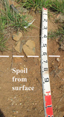 Soils and landforms of the Buchan and Suggan Buggan region -Gelantipy EG83 profile