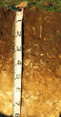 Soils and landforms of the Buchan and Suggan Buggan region - Tarravale EG217 profile
