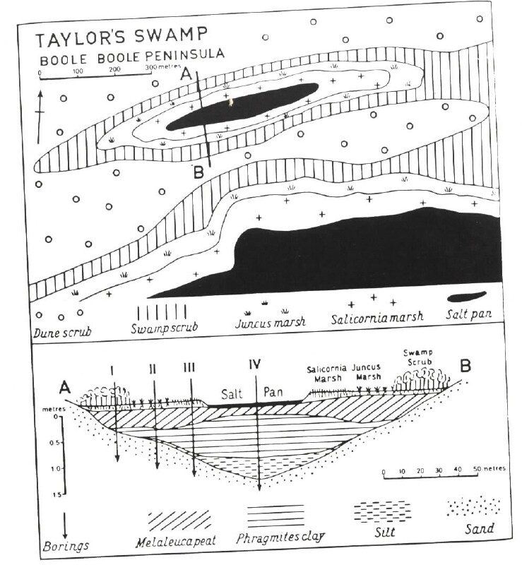 GL Taylors Swamp