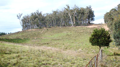 Soils and landforms of Far East Gippsland - Bendoc - EG237 landscape