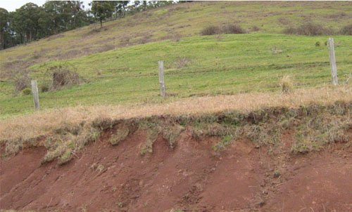 Soils and landforms of Far East Gippsland - Combienbar - landform