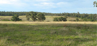Soils and landforms of Far East Gippsland - Waygara EG221 landscape