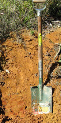 Soils and landforms of Far East Gippsland - Waygara Site 153 profile