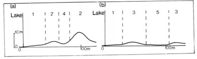 A study of the land in the Catchment of Gippsland Lakes - Vol 2 - land system Booran2- graph