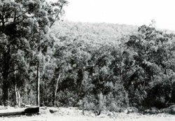 A study of the land in the Catchment of Gippsland Lakes - Vol 2 - land system Elizabeth- image