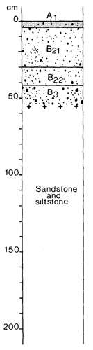 A study of the land in the Catchment of Gippsland Lakes - Vol 2 - Soil profile 29